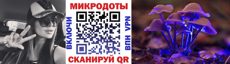 Псилоцибиновые грибы Psilocybe  маркетплейс официальный сайт  Ардон 